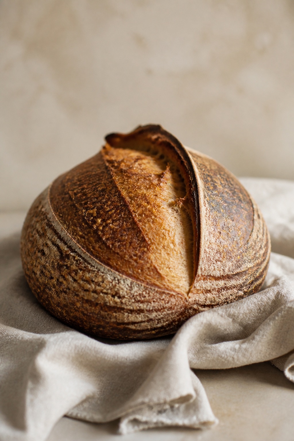 Levain, rye, bâtards. Staged photograph for this template.